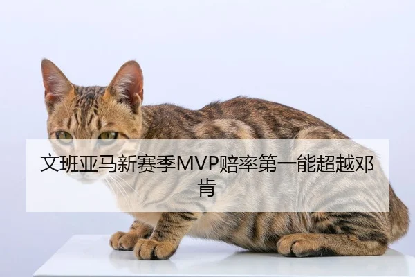 文班亚马新赛季MVP赔率第一能超越邓肯